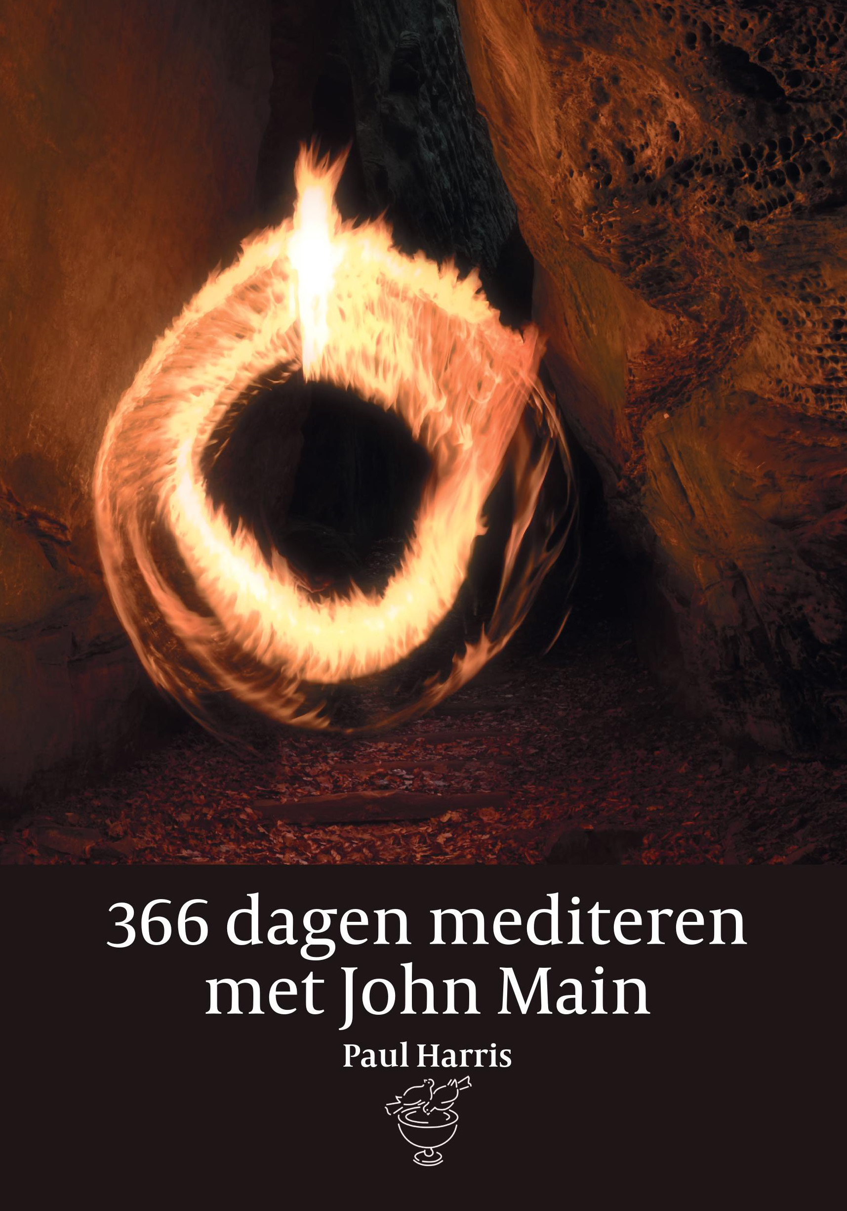 366 dagen mediteren